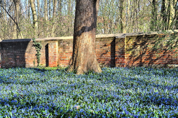 Fruehling2012   058.jpg